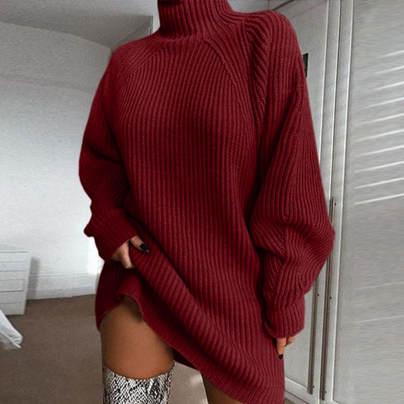 Turtleneck Long Sweater Dress – Women's